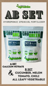 2KG (1KG+1KG) Hydroponic AB SET Fertilizer for Fruits & Vegetables | Suitable for Cucumber Watermelon/Tomato Chili/Strawberry/All Leafy Vegetables