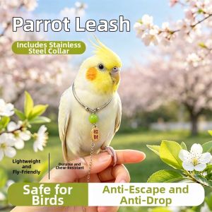 Hadassah | Parrot Training Lead Super Lightweight And Paw-Friendly