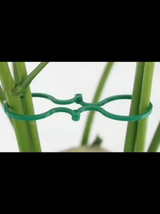 100pcs 200pcs Klip Pengikat Batang Tanaman 8 Shaped / Klip Penjepit Batang Tanaman Kecil