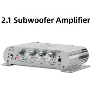 ZHUOLESHI | Mini Multifunctional Car Amplifier 12V