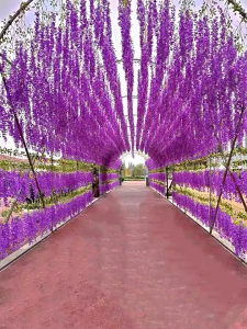 [Ready stock] 43.2 inches/piece Simulation wisteria silk flower string plastic vine hotel scenic area corridor home wedding hanging plant decoration