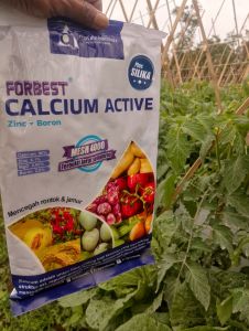 pupuk kalsium forbest aktif