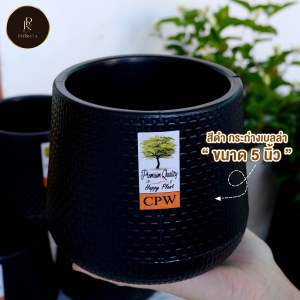 กระถางต้นไม้ขนาดเล็ก กระถางต้นไม้เบลล่า กระถางต้นไม้มินิมอล กระถางต้นไม้ขนาดใหญ่ กระถางต้นไม้สีขาว กระถางต้นไม้สีดำ