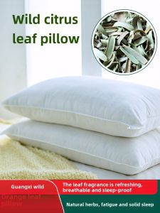 Authentic Guangxi Wild Oil Citrus Leaf Pillow Core Buckwheat Summer Cool Pillow Avocado Oil Sweet Leaf Chinese Medicine Pillow