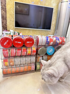 Large Capacity Acrylic Cat Food Storage Box Transparent Desktop Organizer for Pet Snacks And Miscellaneous Items Simple Design