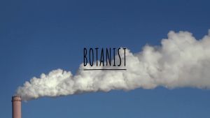 BOTANIST Botanical Shampoo 490ml & Treatment 490g