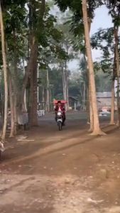 Sarung Batik Pria: Desain Batik Tradisional & Sarung Batik Pekalongan