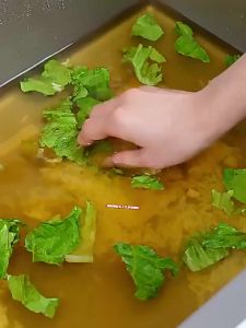 Sink Strainer & Stopper - Stainless Steel Leak Proof Anti Clog Anti Odor Kitchen Drain Filter Basket for Single/Double Bowl Sink