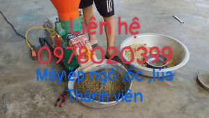 Máy nghiền ép cám  thành viên nhỏ cho vật nuôi ăn