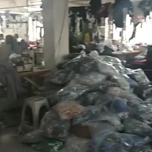 OXO2024 Boys Split Swim Suit: A Global Favorite