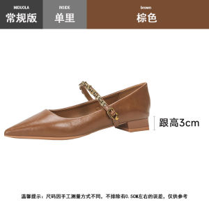 Black Leather Mary Jane Shoes Womens Fashion Spring Autumn Pointed Toe Thick Heel Single Shoes Korean Style Slip-On Shoes