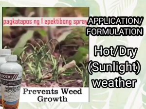 JOSOZAI ORGANIC JAPAN HERBICIDE 500ML FOR ALL TYPES OF GRASS