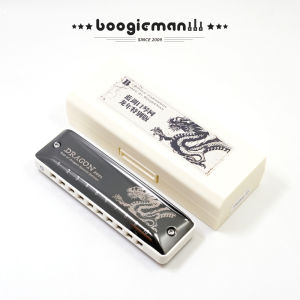 Blues Harmonica 10 Holes Beginner