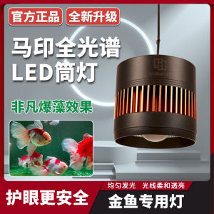 Ma Yin Barrel of Light Super Color Downlight Full Spectrum Led Goldfish Magic Light Explosion Algae Color Increasing Water Grass Native Stream Timing Adjustment