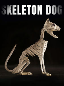 Halloween Animal Skeleton Fake Cat Dog Crow Skull Bone Props Terroristic Ornaments Secret Room Ghost House Decorations