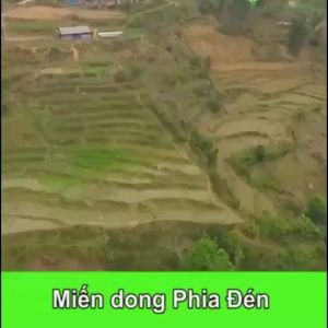 Miến dong Phia Đén đặc sản Cao Bằng (Túi 1kg) đặc biệt ngon 100% tự nhiên nguyên chất từ củ dong riềng miền núi cao