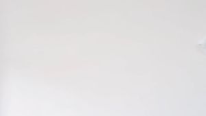 Baju Kaos T-Shirt Anak Laki-Laki Lengan Pendek Gambar Dinosaurus Warna Putih