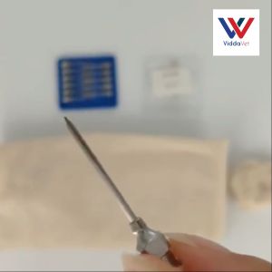 EliteVet 1 Dozen Gauge 20 x 0.5 inch Stainless steel needle for pig needles for syringe pig needles needles set for pig