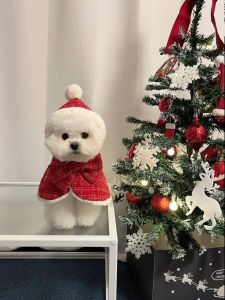 Christmas Plush Pet Coat with Hood Scarf Windbreaker Warm for Dogs And Cats New Years Outfit Holiday Pet Clothing Accessories