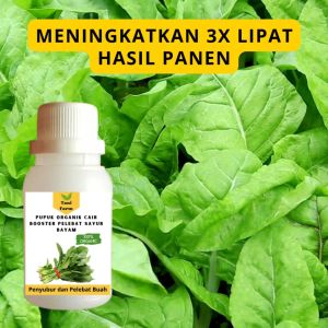 Pupuk Bayam Cepat Berbuah / Pupuk Pelebat Sayur Bayam / Pupuk Booster Bayam Cair
