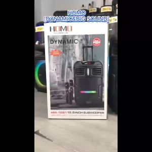 12.5-inch multi-functional karaoke speaker equipped with dual microphones and subwoofer supports Bluetooth 5.0.