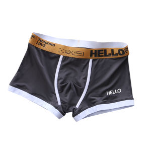 JIAZINI | Ice Silk Seamless Youth Summer Lightweight Briefs