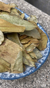 Lá mãng cầu xiêm khô 1kg - Thảo Dược Tấn Phát - Hàng sạch thơm cao cấp