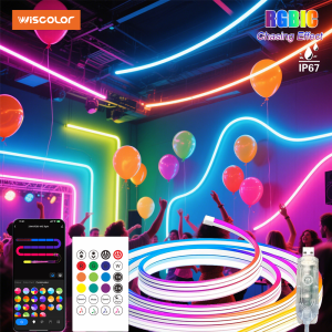 Wiscolor 5V USB RGBIC Flexible LED Neon Strip Lights 1M 2M 3M 4M 5M Waterproof Music Sync With Remote Control For Home Decor
