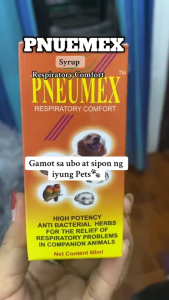 60ml Pneumex Syrup Respiratory Comfort All Stages Adult Puppy Kitten Immune Support Pet Essentials