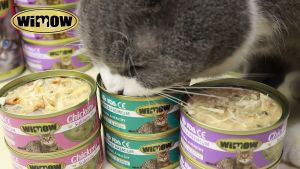 85g Premium Cat Food Creamy Wet Canned Chicken + Salmon Cat Food/Snack Adult & Kitten