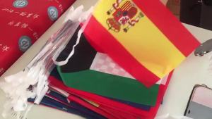 30M World Flags String 100 Countries Flags Bunting Banners Fiesta Flag Decoration Polyester fabric