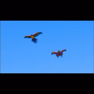 Portable Children's Fishing Rod Kite: Dynamic & Easy-to-Fly Kites for Kids & Adults