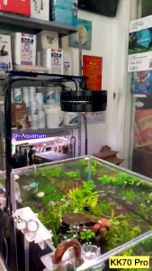 ĐÈN LED RỌI WRGB+UV KAOKUI KK70 pro có dimer và kết nối điện thoại cho bể cá cảnh thủy sinh