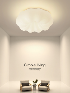 BADU | Cloud Shape Modern Ceiling Light