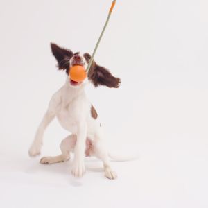 BECO Natural Rubber Slinger Ball Toy for Dogs