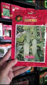 Benih Timun Lalap PASSEO 20 gr Bibit Sayuran Unggul JAWARA