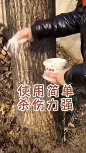 Powerful tree-destroying low-temperature fast herbicide closed granules agricultural rotten root powder herbicide