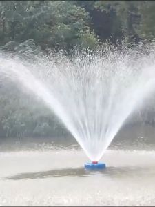 เครื่องปั๊มน้ำ 24V-48V 750W ปั้มน้ำพูดเพาะลอยน้ำ ปั้มน้ำออกซิเจน ปั้มน้ำพูด ปั้มน้ำลอยน้ำ พืชน้ำ สำหรับเซลล์ สำหรับการปั้มน้ำสัตว์น้ำ