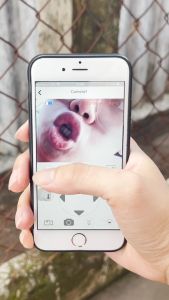 Camera wifi không dây A9 Kèm thẻ nhớ Camera mini Chất Lượng Full HD 1080P Góc Quay 150 Độ Kết Nối Wifi Xem Qua Điện Thoại BH 12 tháng