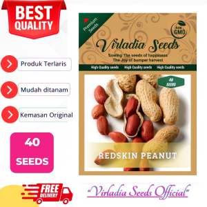 [Virladia Seeds] Biji Benih tanaman Kacang Tanah Kulit Merah | Red Peanut