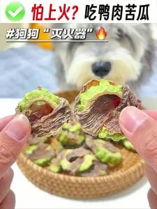 petlimit | Duck Jerky and Bitter Melon Dog Treats Small Puppies