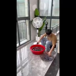 Multi-functional Fan Brush: A Versatile Cleaning Solution