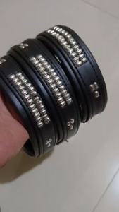 Kalung hewan anjing harian 2 jari bayar ditempat