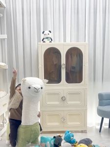 Goody Foldable Storage Cabinet for Clothes Plastic Storage Cabinet Transparent Storage Cabinet With Wheels