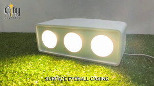 1Head 2Head 3Head and 4Head Surface Eyeball Casing Anti Glare Eyeball