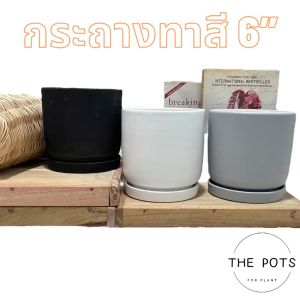 กระถางต้นไม้สไตล์โมเดิร์น ขนาด 6 พร้อม 4 สี พร้อมส่งค่ะ