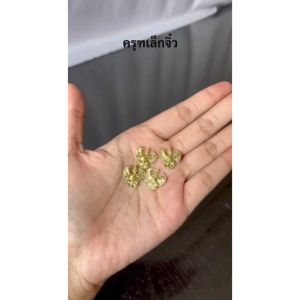 ครุฑเล็กจิ๋ว เนื้อตะกั่ว ฝังหลังล็อกเก็ตราคาส่ง