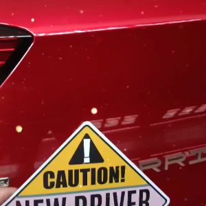 Magnetic Car Sticker (Series 03) - STUDENT DRIVER (7 x 3 in.) : Waterproof Smudgeproof Nonfading