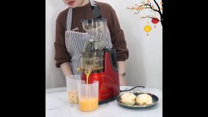 Máy ép chậm hoa quả Hongxin RH-312..Máy Ép Trái Cây Giữ 98% Lượng NướcTặng Kèm 2 Cốc Đựng-Bảo Hành 12 Tháng .Máy ép chậm hoa quả Hongxin RH-312 ép rau củ hoa quả máy ép chậm trái cây - Bảo hành 12 tháng