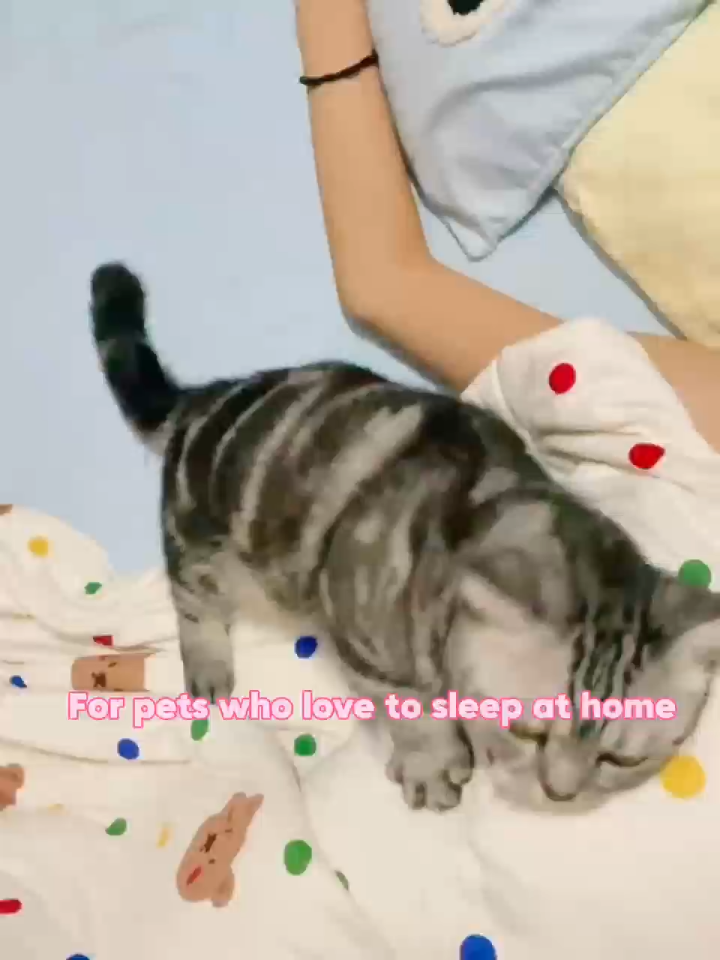 Kopipets Local Seller Jumbo Pet Wet Wipes 200×150mm 720g Extra Thick Alcohol-Free Moist & Gentle